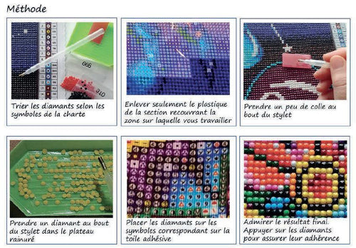 *** // DIAMOND DOTZ  PERROQUETS ARC-EN-CIEL- DIAMOND PAINTING - PEINTURE À DIAMOND