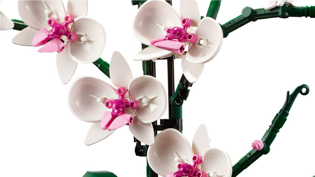 LEGO BOTANICALS - L'ORCHIDÉE #10311