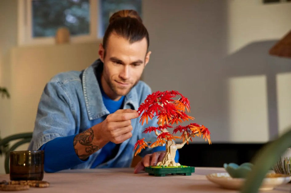 LEGO BOTANICALS - BONSAÏ D'ÉRABLE ROUGE DU JAPON #10348