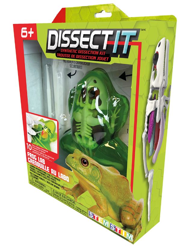 DISSECT IT - FROG IN THE LAB