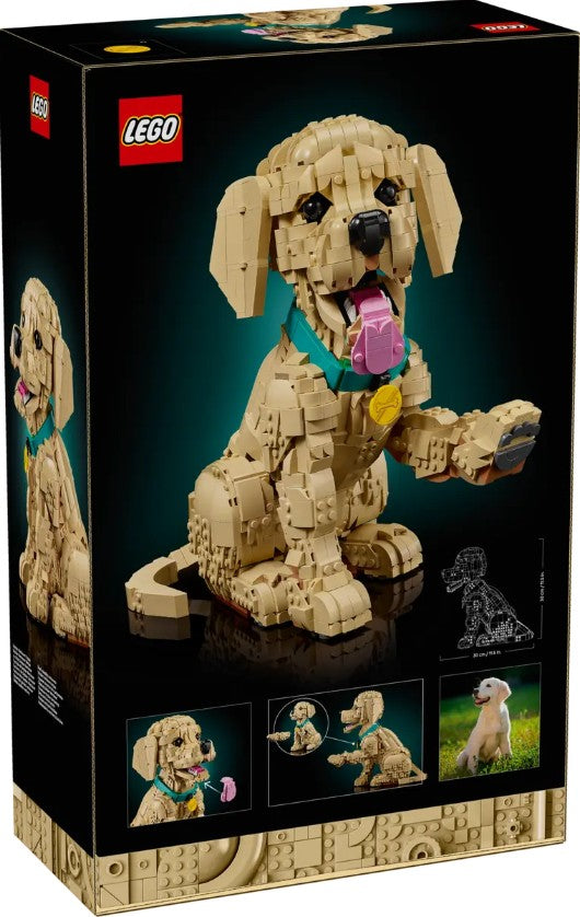 LEGO ICONS - LE CHIOT GOLDEN RETRIEVER #11384