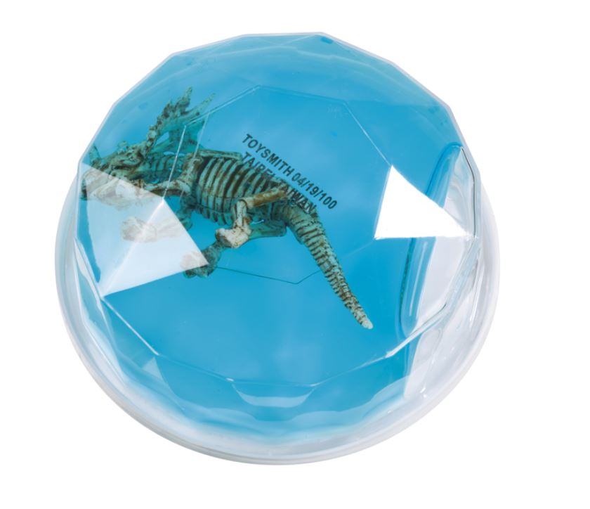 DINOSAUR FOSSIL GLUE ASST