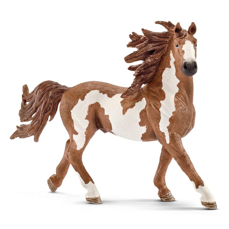 SCHLEICH - ÉTALON PINTO #13794