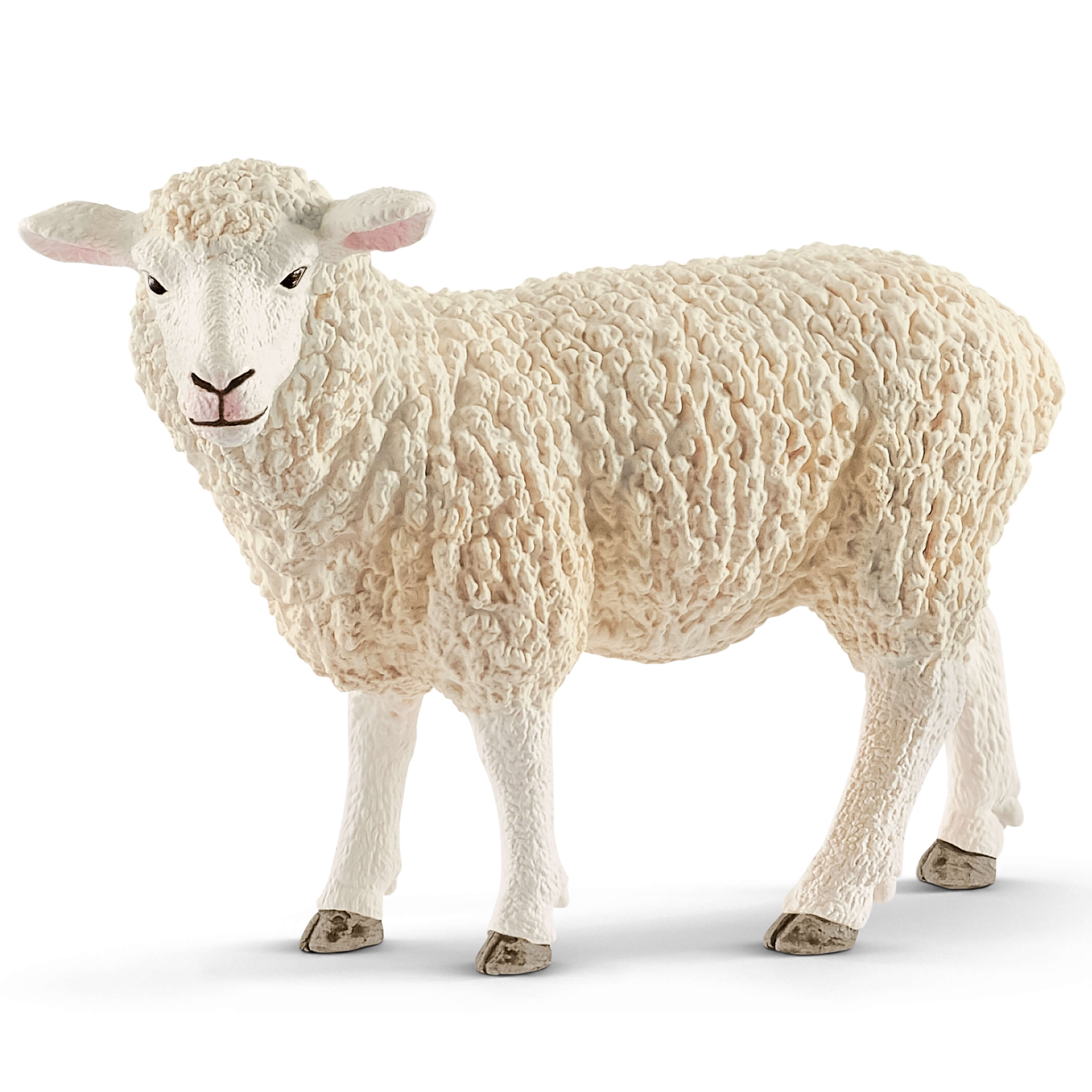 SCHLEICH - SHEEP #13882