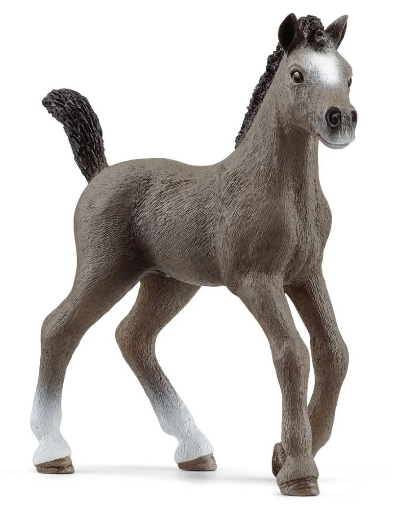 SCHLEICH - POULAIN SELLE FRANÇAIS #13957