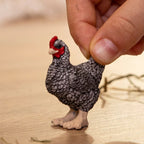 SCHLEICH - POULET DE PLYMOUTH ROCK #13997