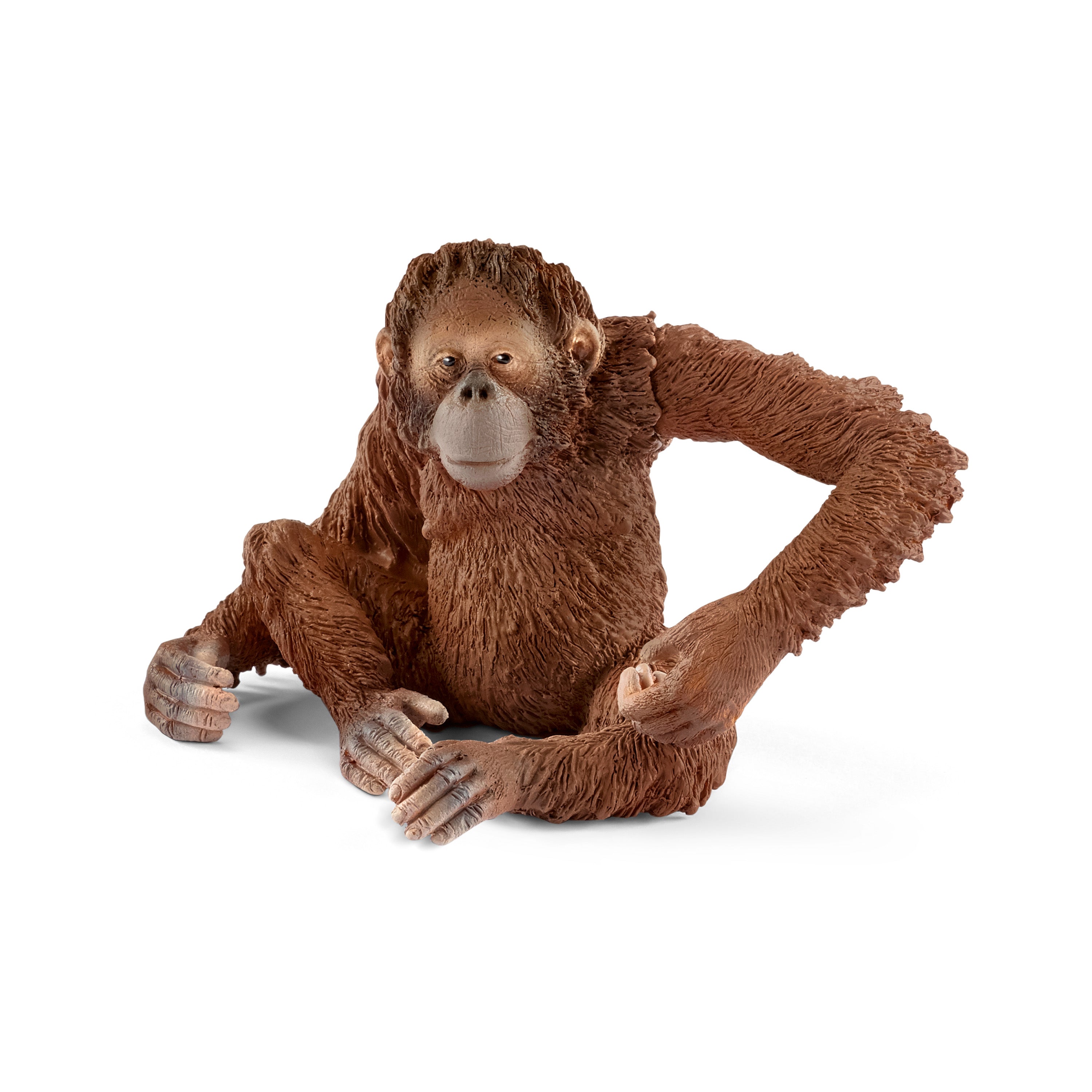 SCHLEICH - ORANG-OUTAN FEMELLE #14775