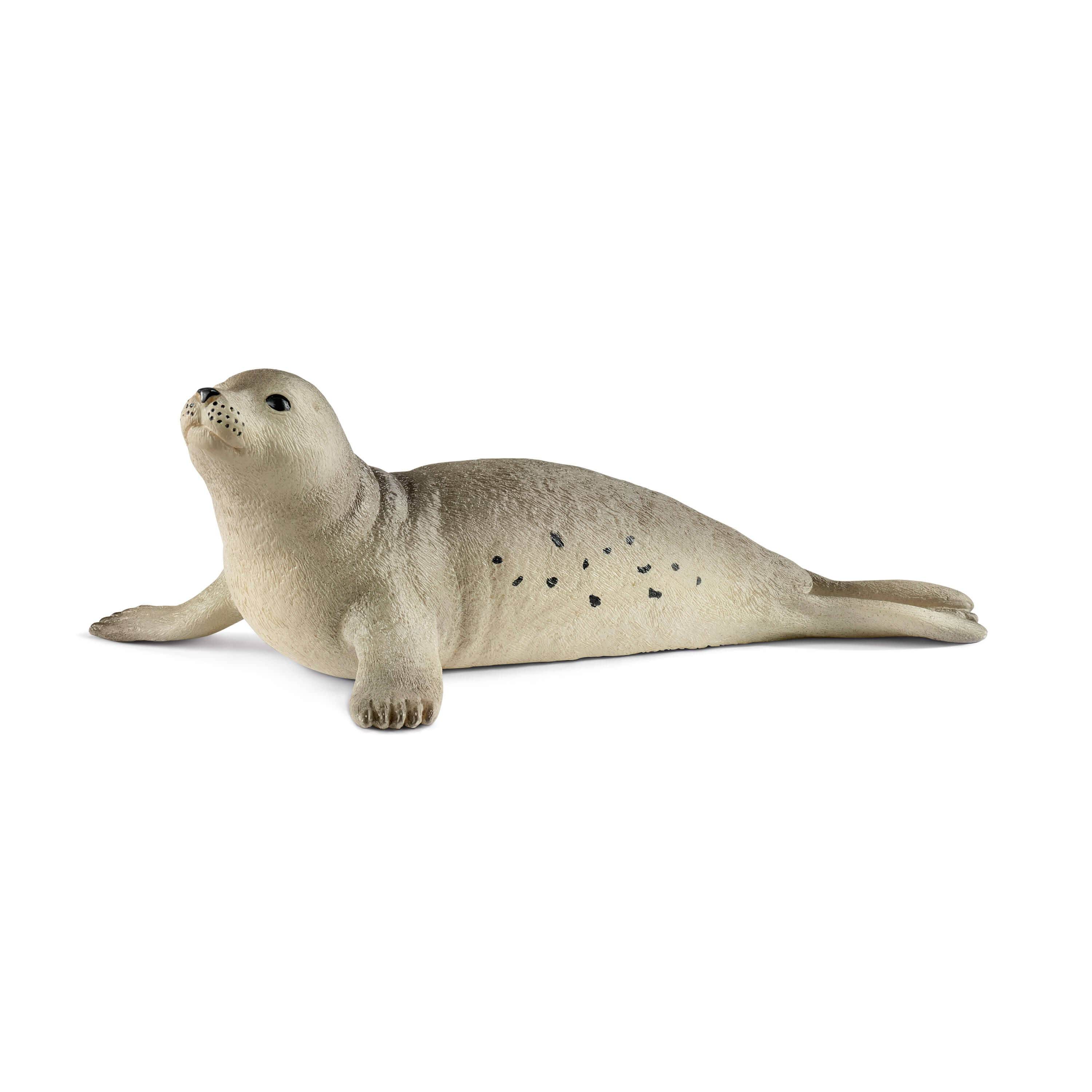 SCHLEICH - PHOQUE #14801