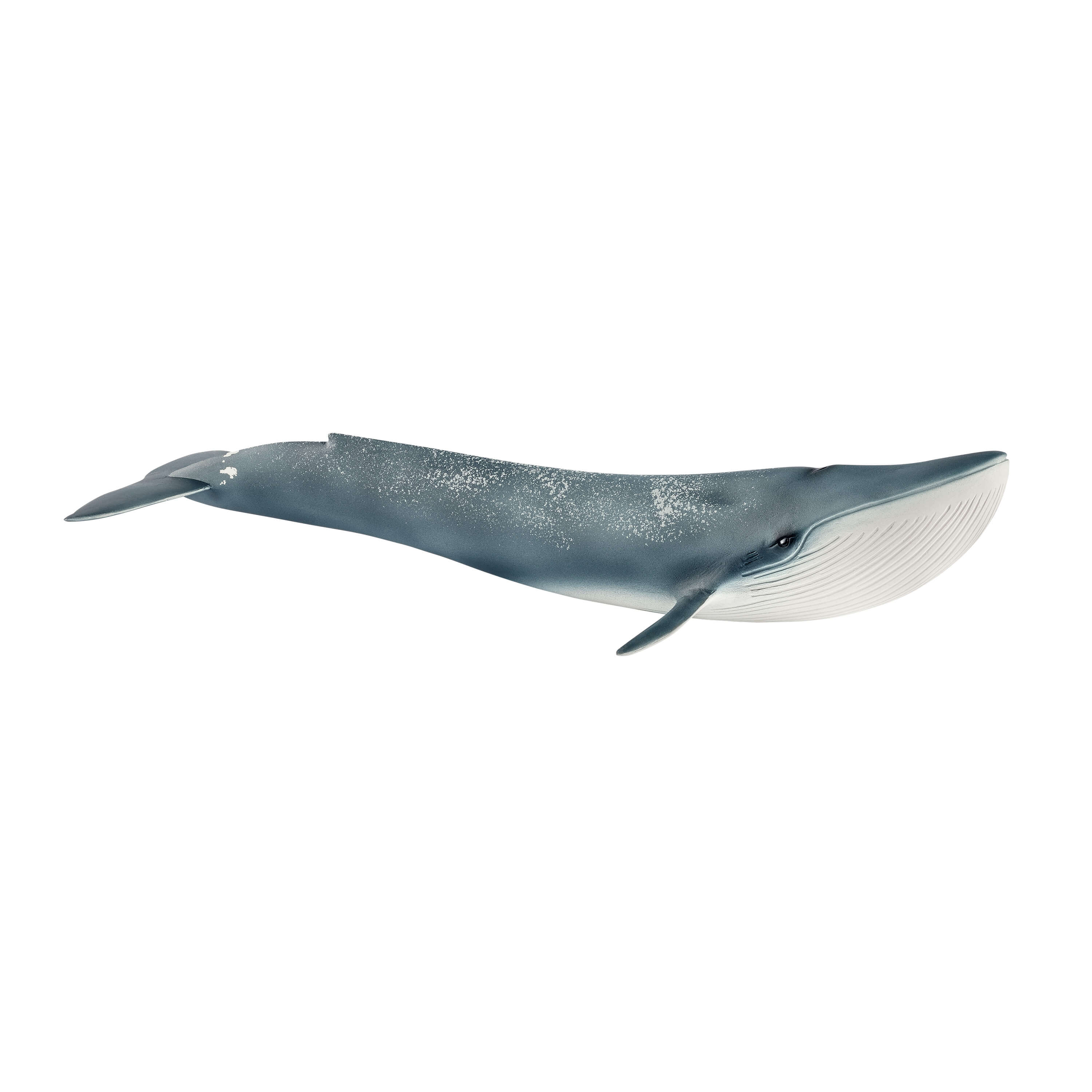 SCHLEICH - BALEINE BLEUE #14806