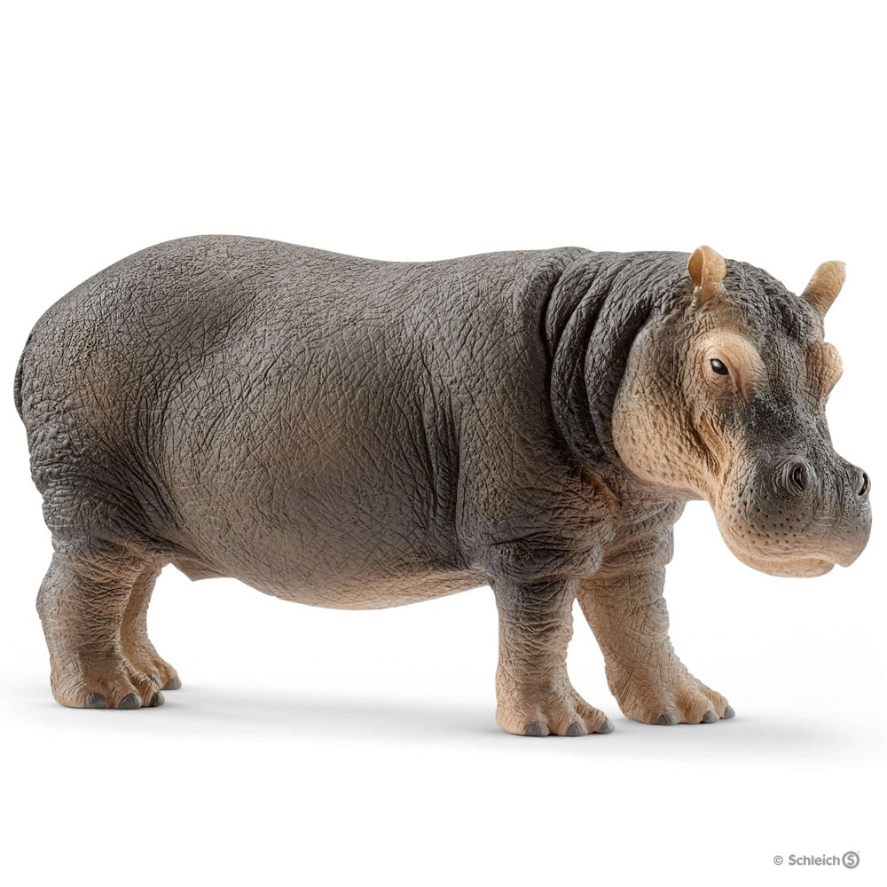 SCHLEICH - HIPPOPOTAME #14814