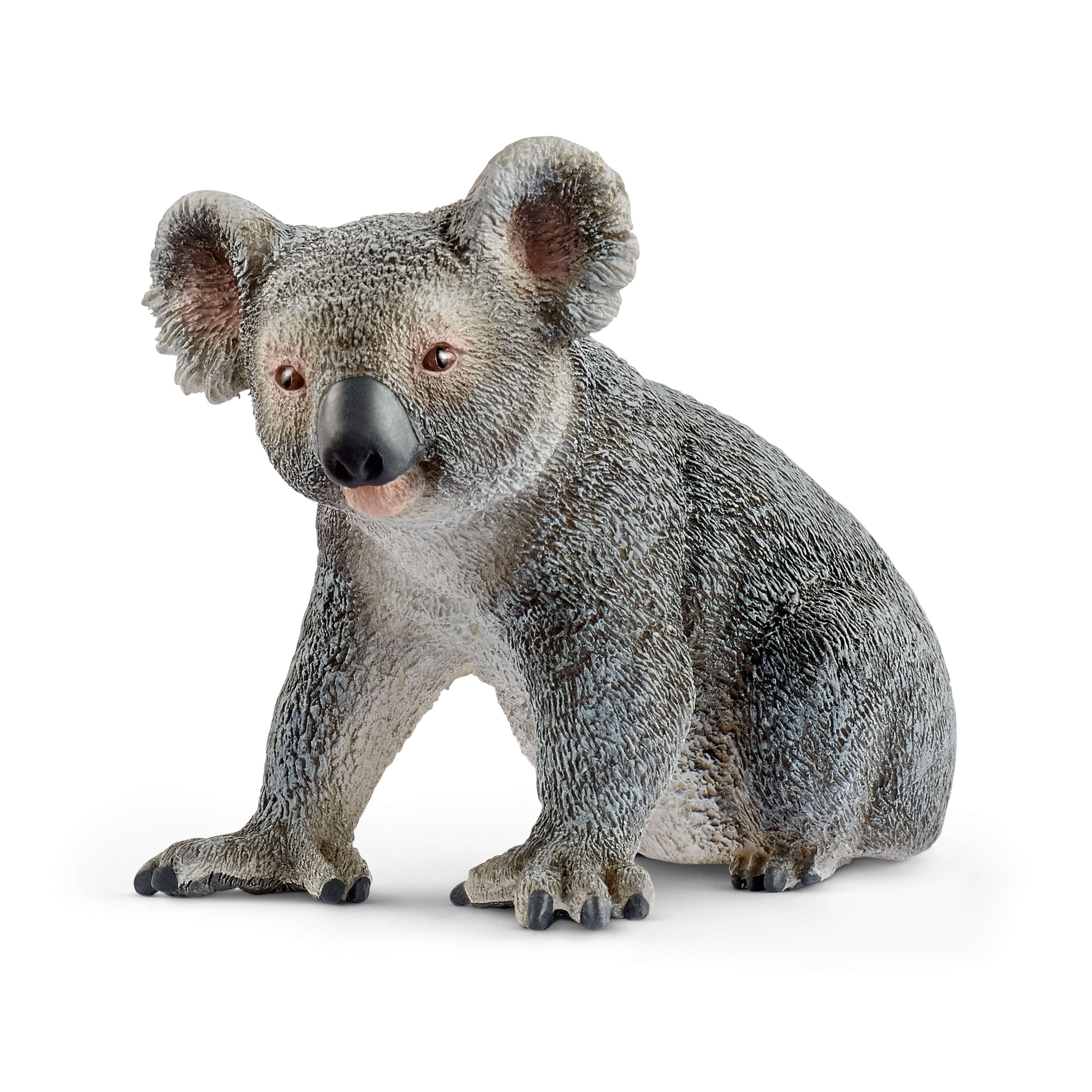 SCHLEICH - KOALA #14815