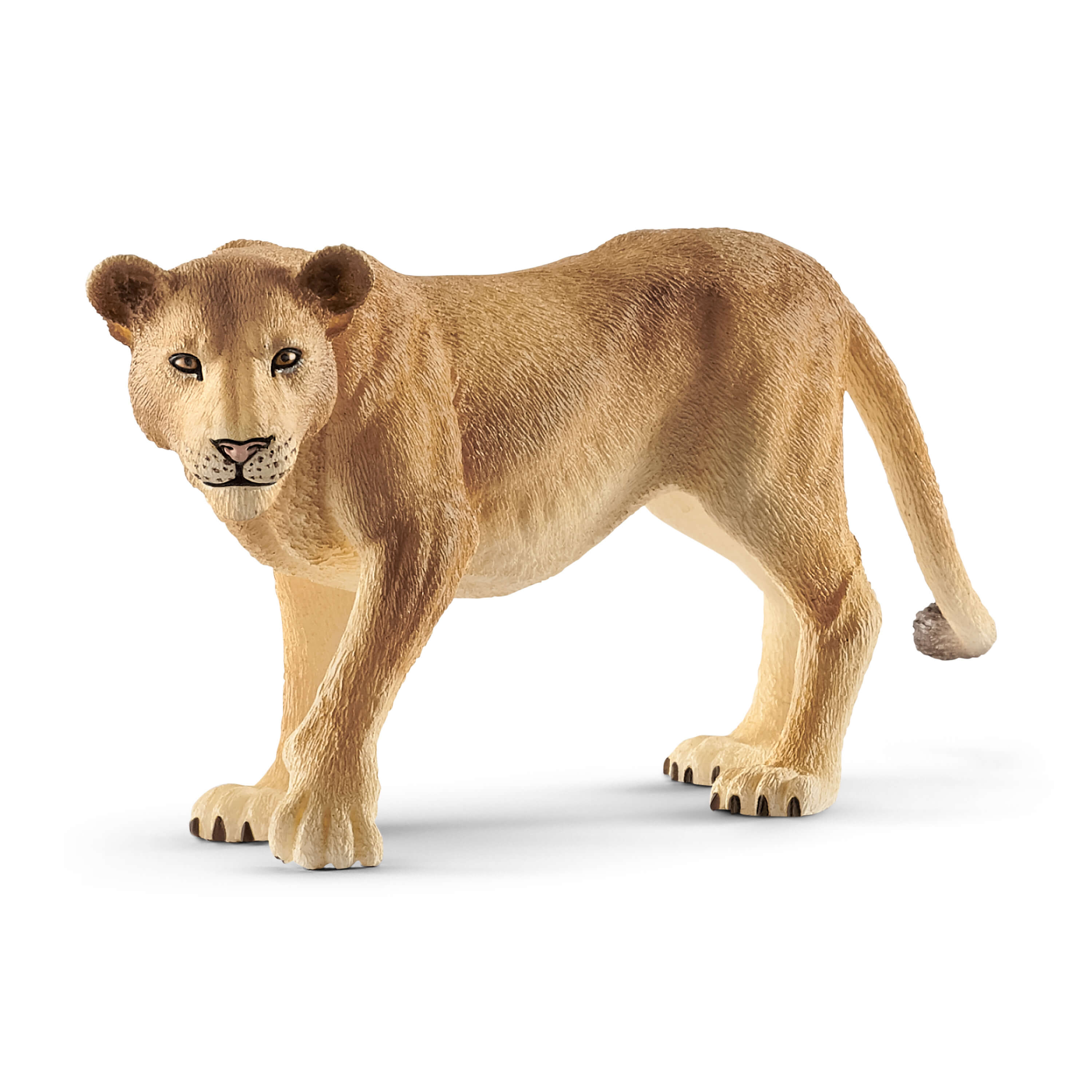 SCHLEICH - LIONNE #14825