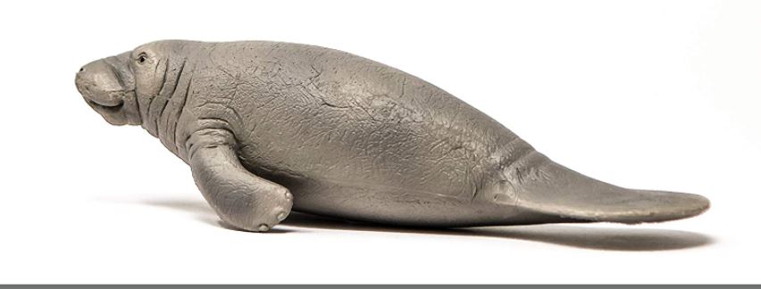 SCHLEICH - LAMANTIN #14839