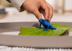 SCHLEICH - GRENOUILLE DENDROBATE #14864