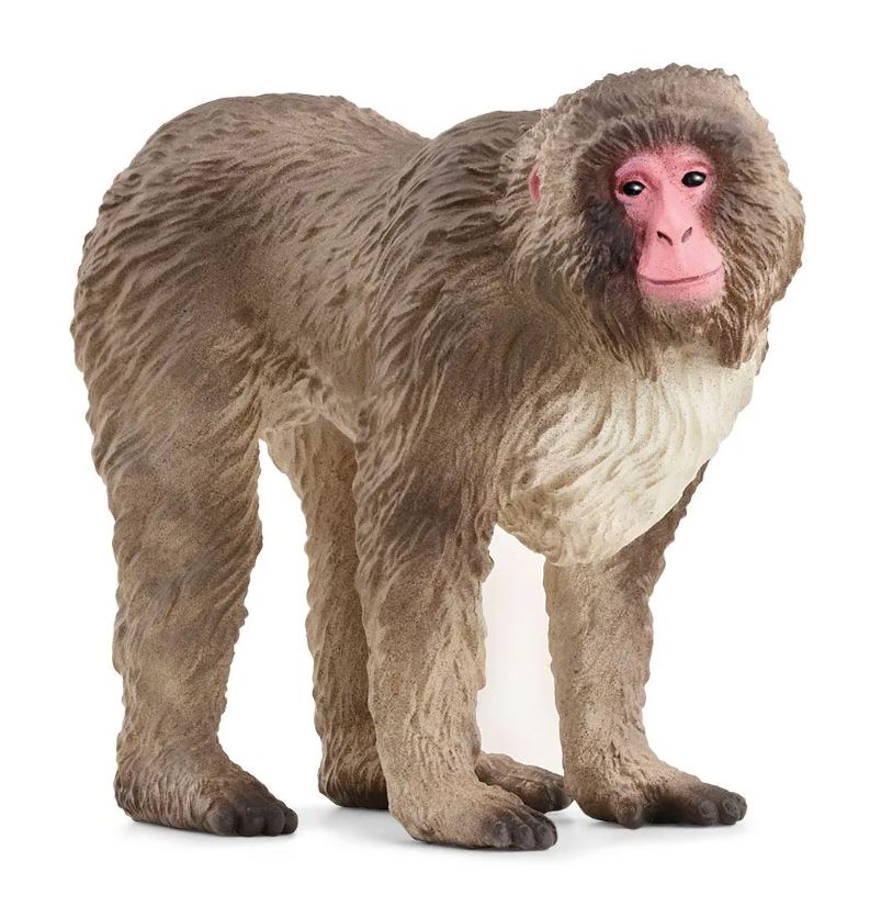 SCHLEICH - MACAQUE JAPONAIS #14871