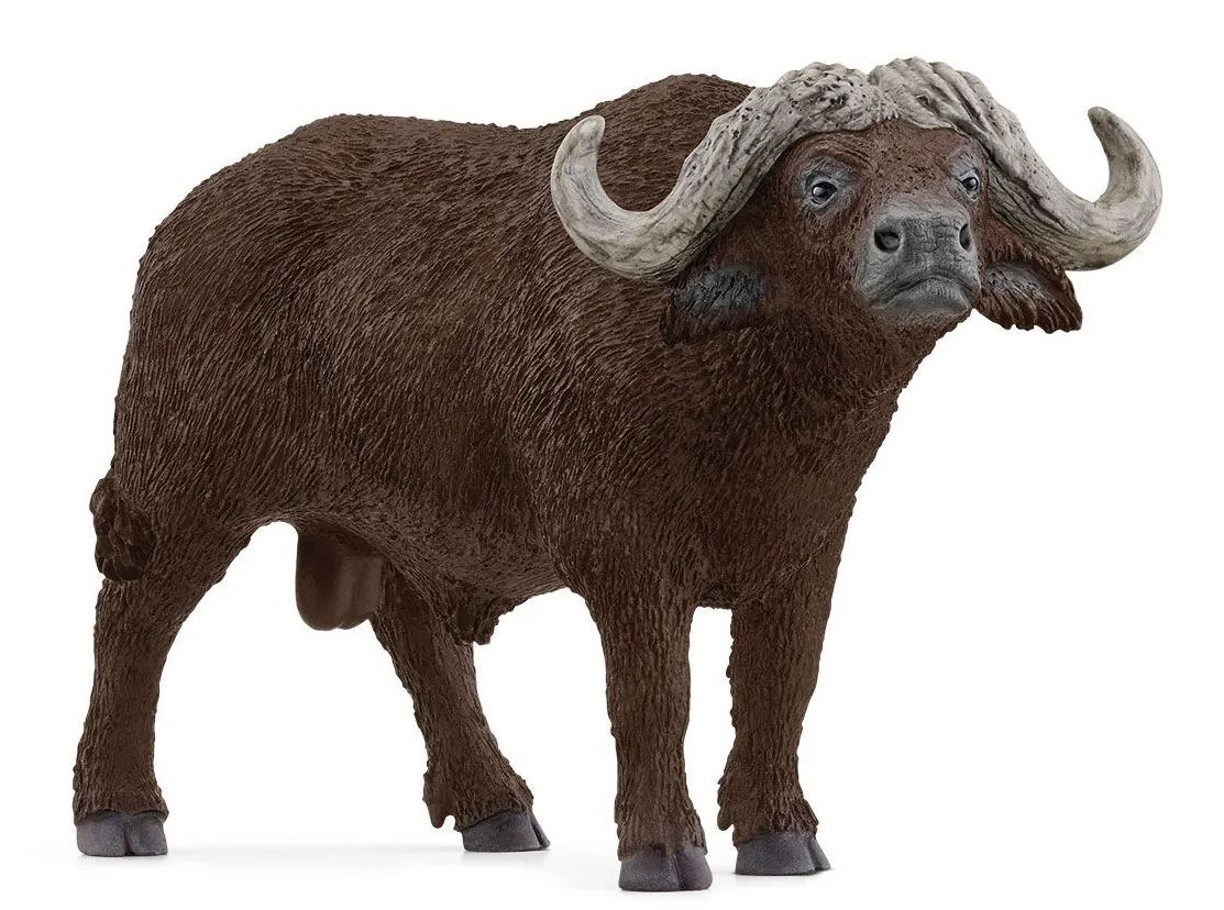 SCHLEICH - BUFFLE D'AFRIQUE #14872
