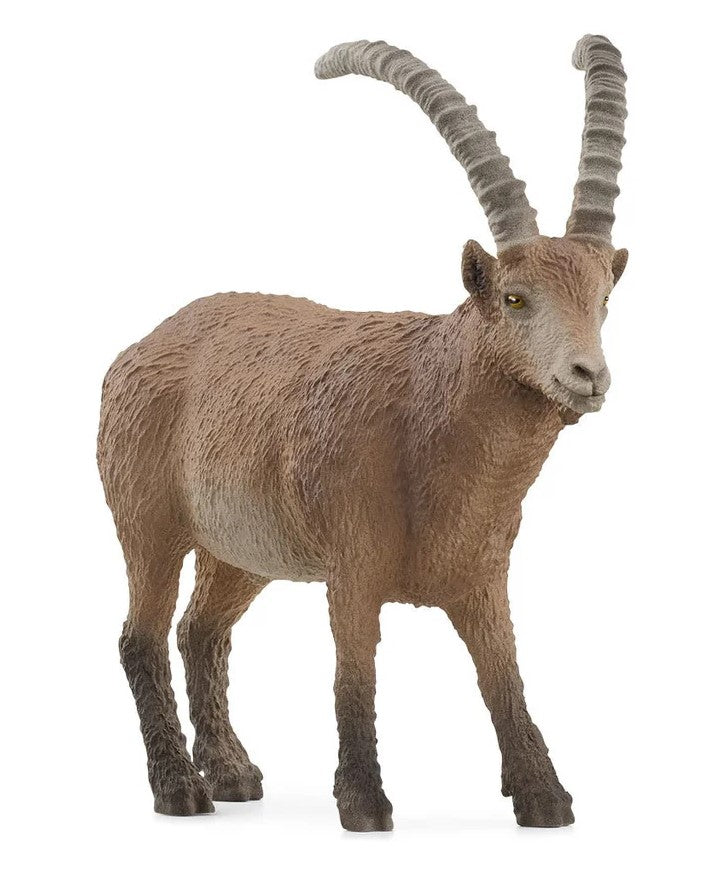 SCHLEICH - BOUQUETIN #14873