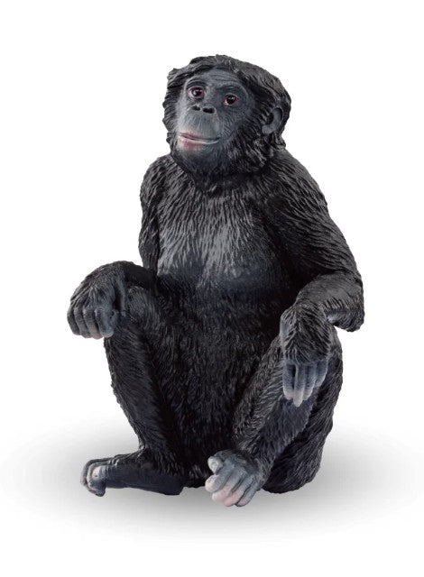SCHLEICH - BONOBO FEMELLE #14875 *EXCLUSIF À CHICOUTIMI*