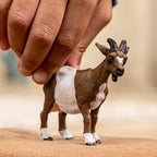 SCHLEICH - CHÈVRE #14887 *EXCLUSIF À CHICOUTIMI*