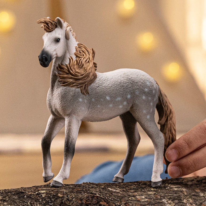 SCHLEICH - ÉTALON ANDALOU #14895 *EXCLUSIF À CHICOUTIMI*