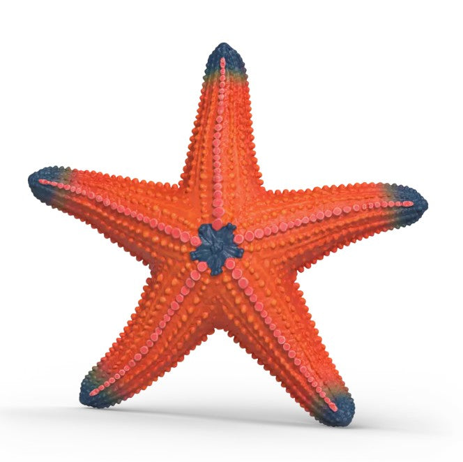 SCHLEICH - ÉTOILE DE MER (CHANGEMENT DE COULEUR) #14902