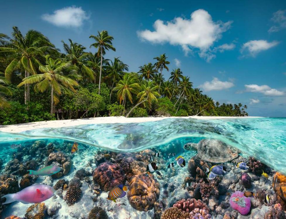 RAVENSBURGER CASSE-TÊTE 2000 PIÈCES - UNE PLONGÉE DANS LES MALDIVES #17441