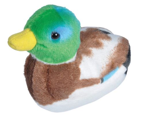 PELUCHE CANARD COLVERT 5" - WILD REPUBLIC