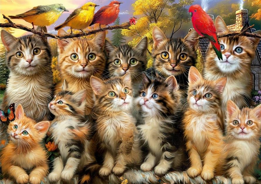 EDUCA JIGSAW PUZZLE 500 PIECES - KITTENS AND BIRDS #20241