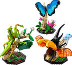LEGO IDEAS - LA COLLECTION D'INSECTES #21342