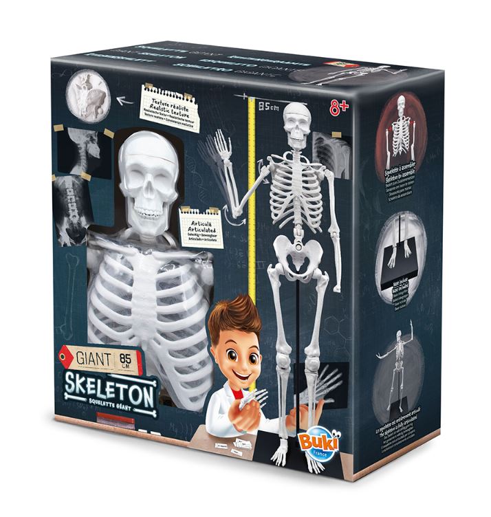 BUKI FRANCE - GIANT SKELETON 85CM