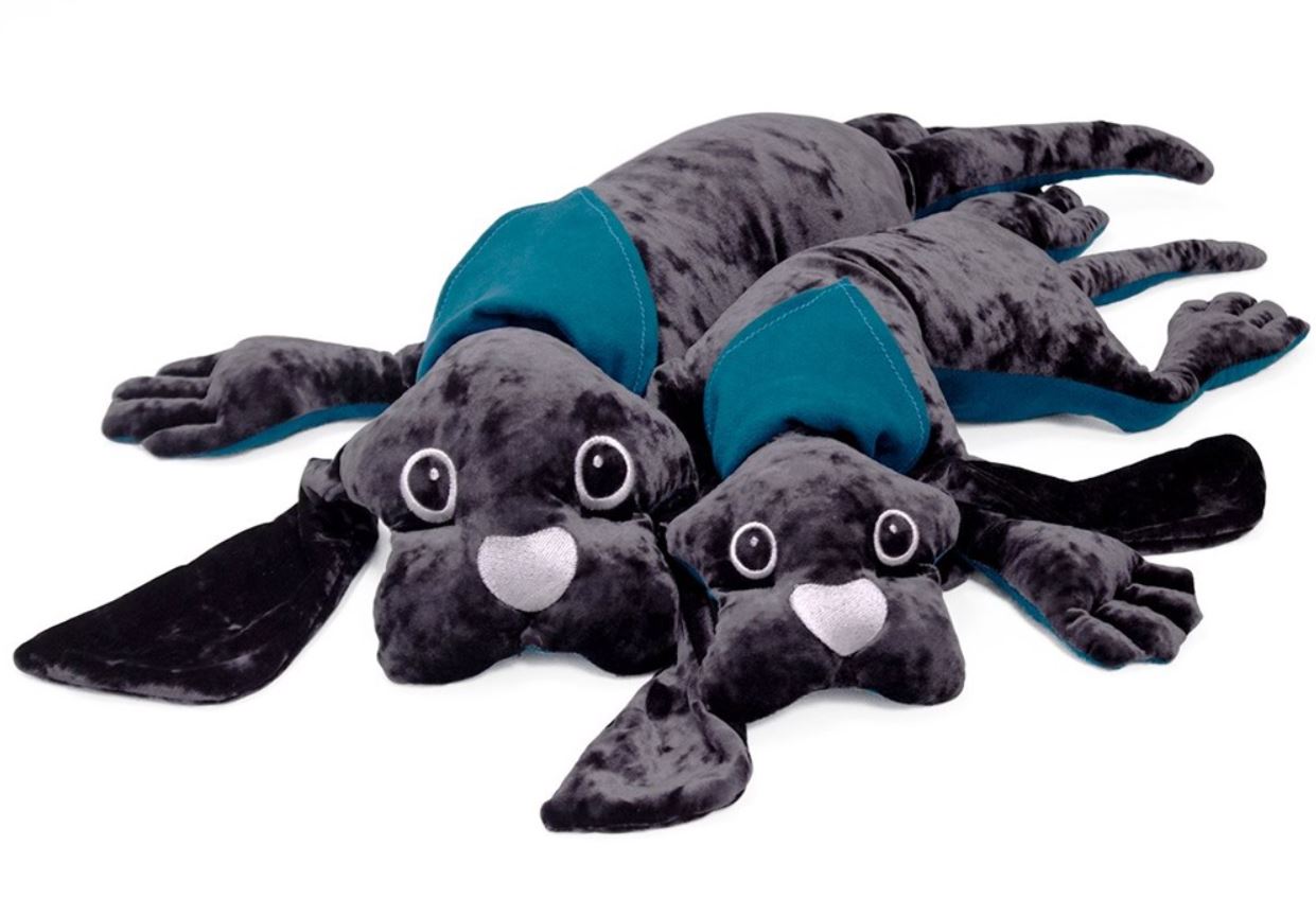 MANIMO - CHIEN LOURD 2 KG
