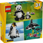 LEGO CREATOR - ANIMAUX SAUVAGES : LA FAMILLE DE PANDAS #31165