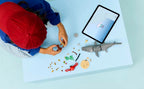 LEGO CREATOR - LE REQUIN FÉROCE ET LE COFFRE AU TRÉSOR #31381