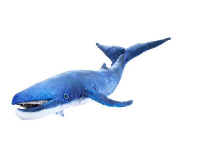 PUPPET - BLUE WHALE