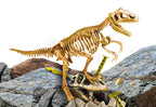 I'M A GENIUS - SUPER KIT T-REX (DINOSAURE)