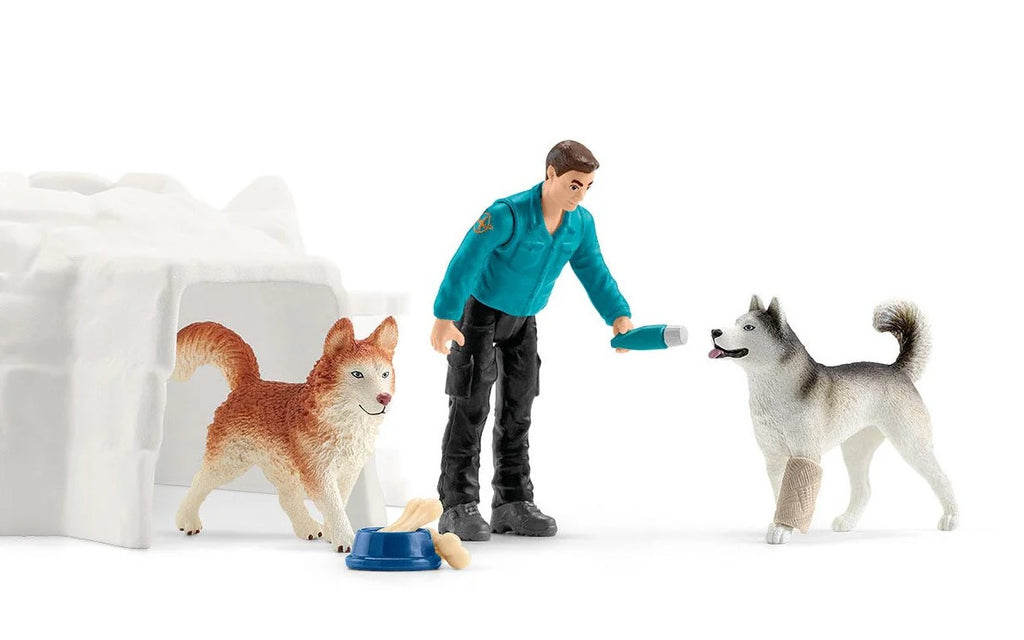 SCHLEICH - ANTARCTIC EXPEDITION #42558