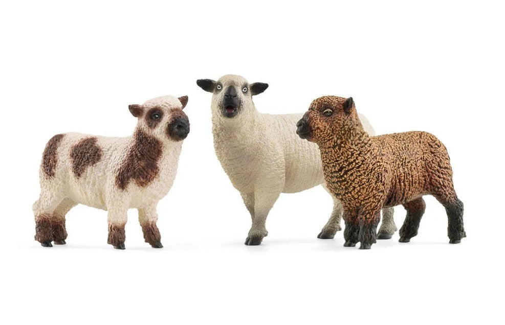 SCHLEICH - TRIO DE MOUTONS #42660 *EXCLUSIF À CHICOUTIMI*