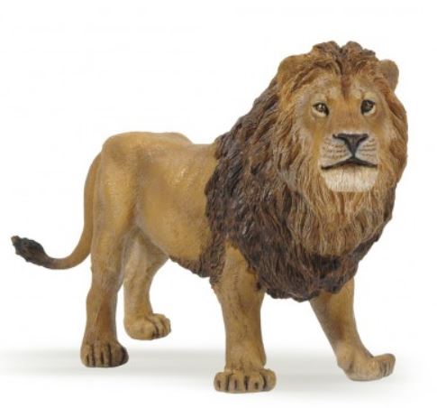 PAPO - LION #50040