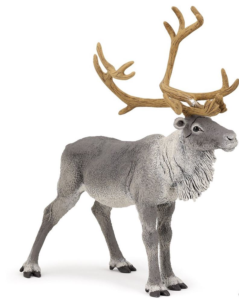 PAPO - REINDEER #50117