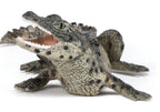 PAPO - BÉBÉ CROCODILE #50137
