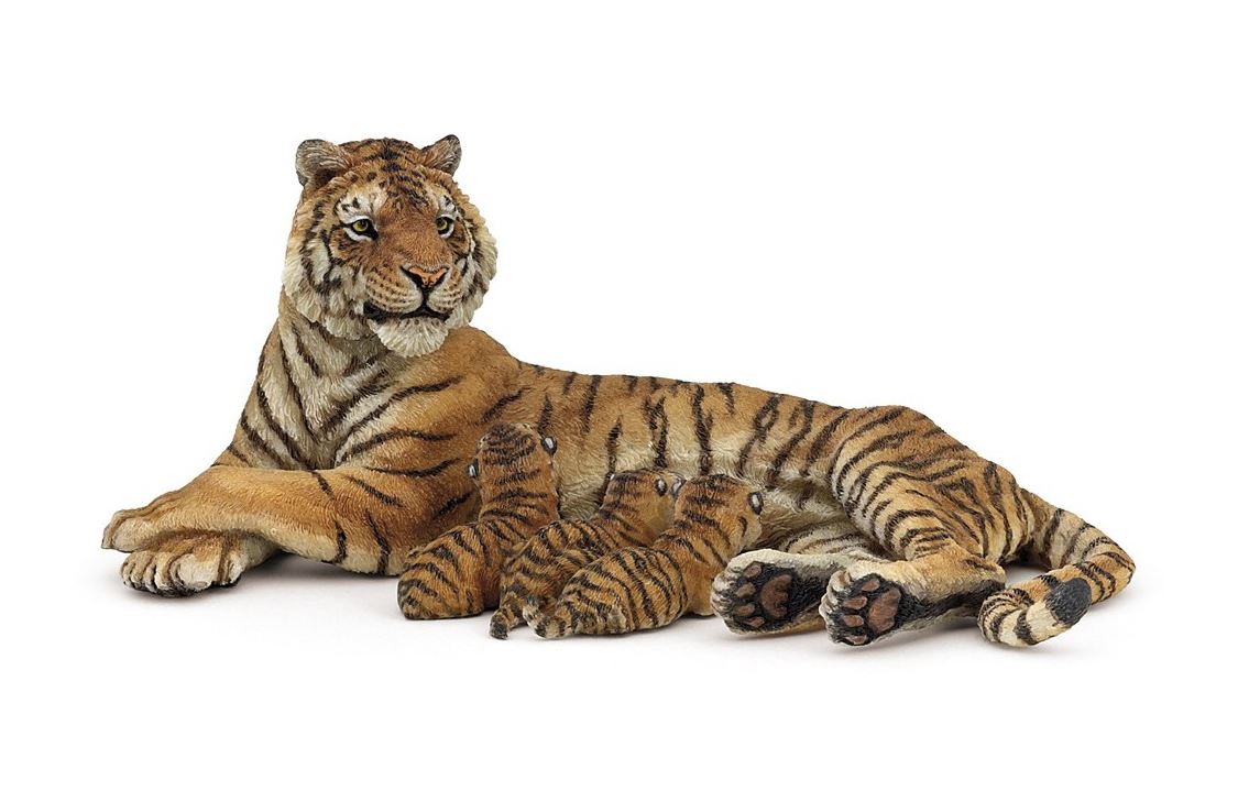 PAPO - NURSING LYING TIGRESS #50156