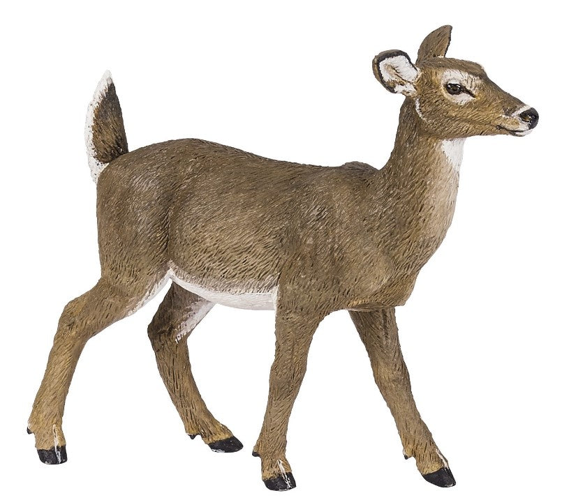 PAPO - BICHE DE VIRGINIE #50218