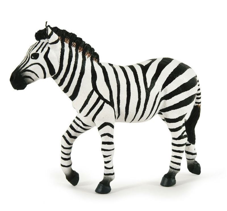 PAPO - MALE ZEBRA #50249