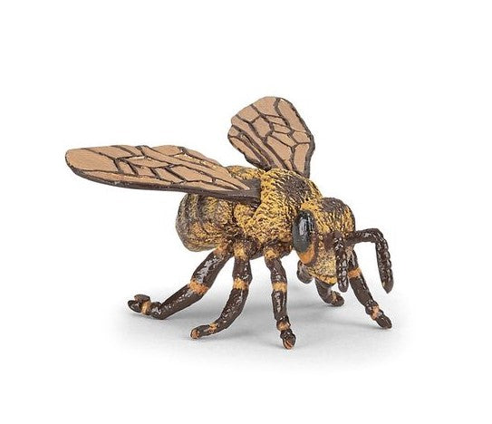 PAPO - BEE #50256