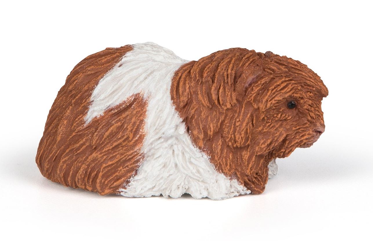 PAPO - COCHON D'INDE #50276