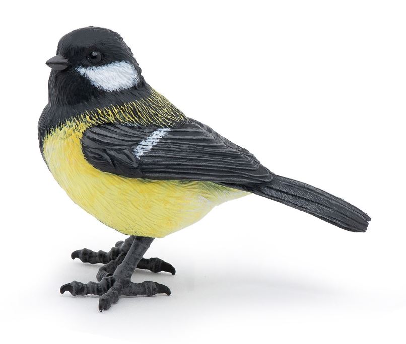 CHAT - TIT #50287