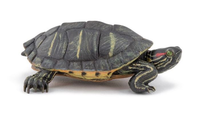 PAPO - TORTUE DE FLORIDE #50309