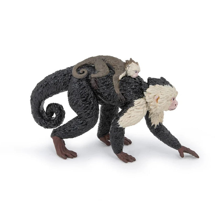 PAPO - CAPUCHIN #50312