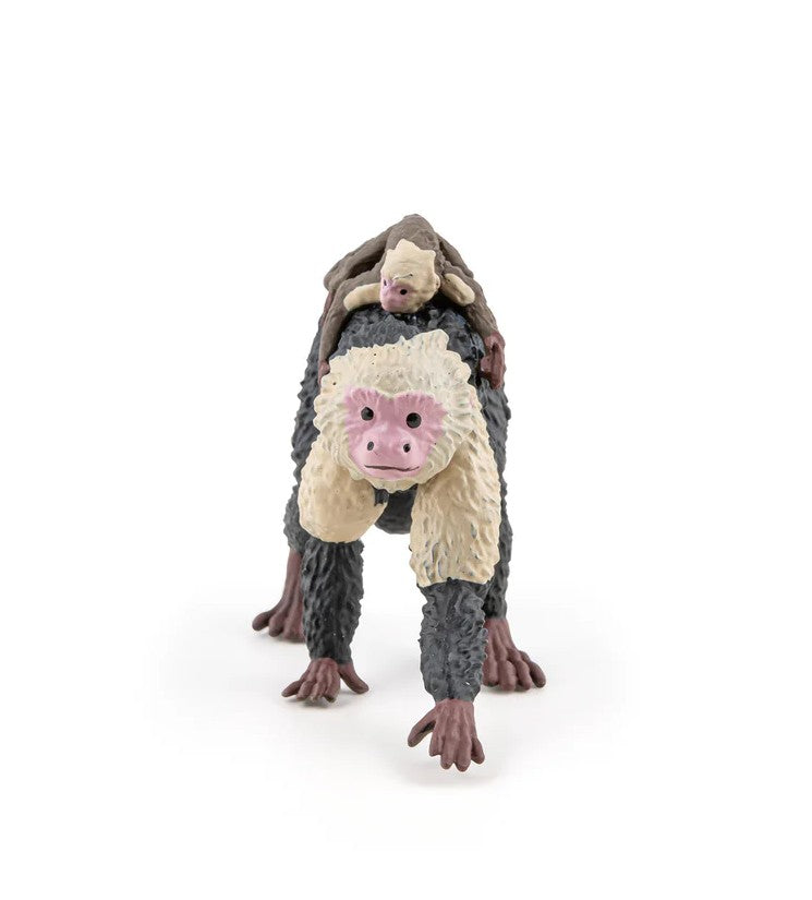 PAPO - CAPUCHIN #50312