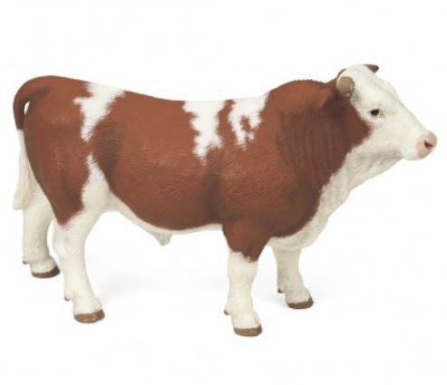 PAPO - TAUREAU SIMMENTAL #51142